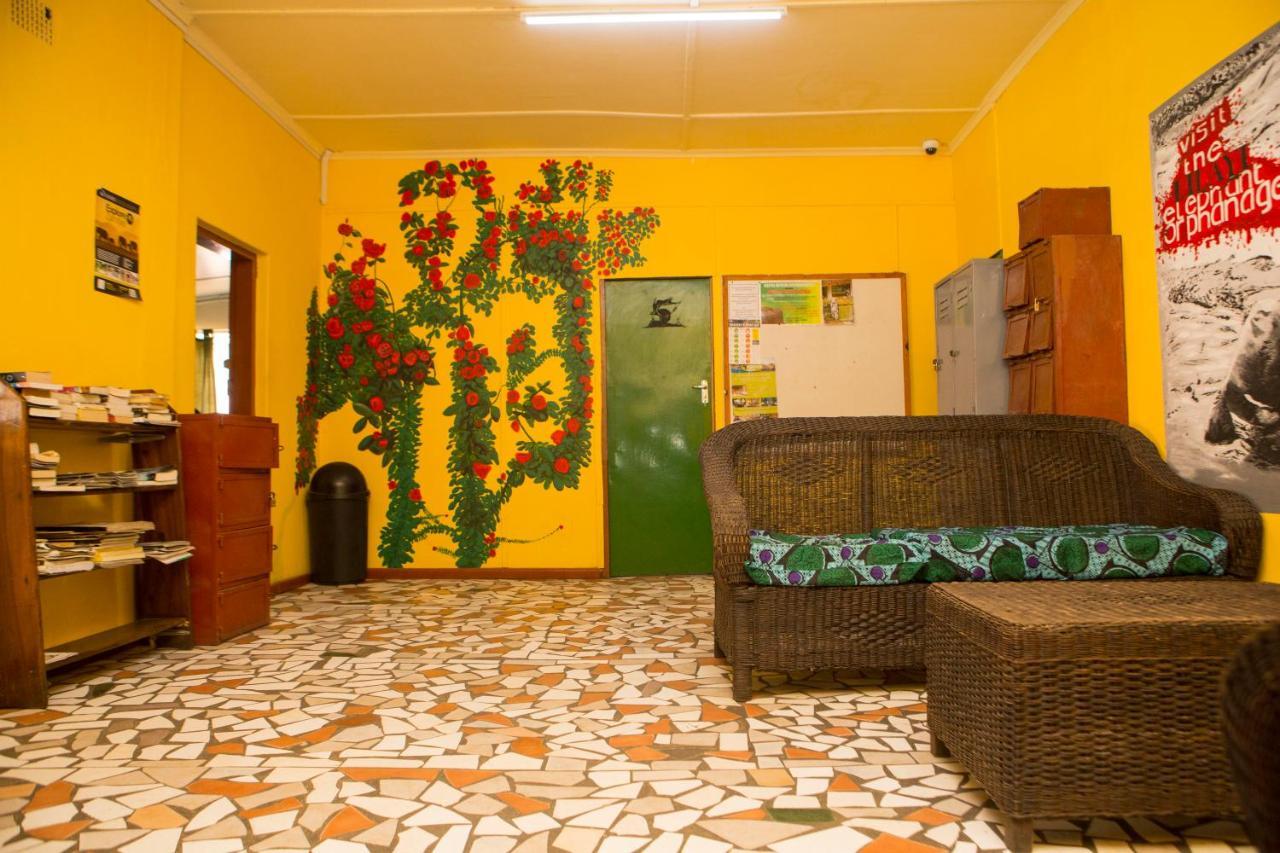 Lusaka Backpackers Hostel Exterior foto